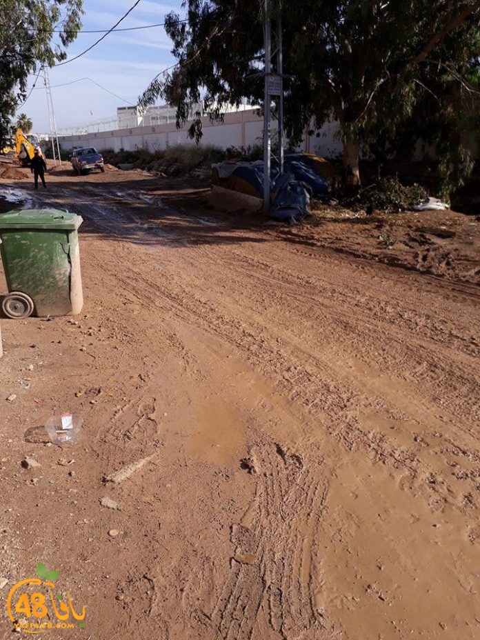 lud shaneer tarmem (2).jpg